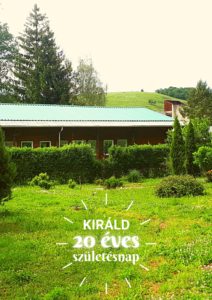 Kirald 20 web verti